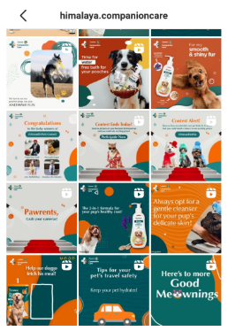 Himalaya Companion Care social media grid featuring pet-care products, tips and community content