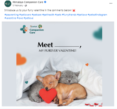 Himalaya Companion Care Furever Valentine social media static featuring a puppy and kitten
